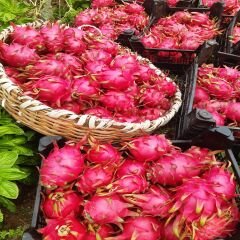 MOR EJDER MEYVESİ 1 KG