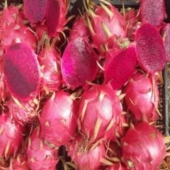 MOR EJDER MEYVESİ 1 KG