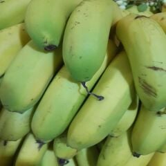 DALINDAN YEŞİL ANAMUR MUZU 3 KG