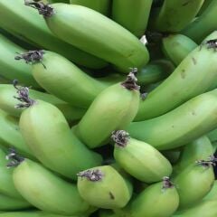 DALINDAN YEŞİL ANAMUR MUZU 3 KG