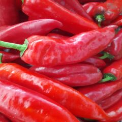 Kapya Biber 1 kg