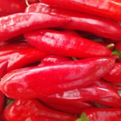 Kapya Biber 1 kg
