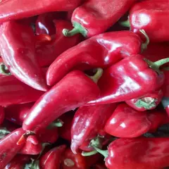 Kapya Biber 1 kg