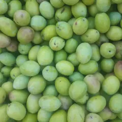 Yeşil Zeytin 1 kg