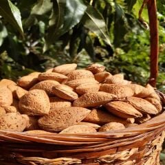 ATA TOHUMU SERT KABUKLU TAŞ BADEM 500 GR