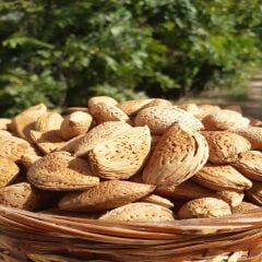 ATA TOHUMU SERT KABUKLU TAŞ BADEM 1 KG