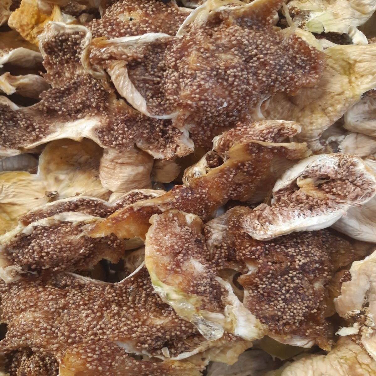 GÜN KURUSU ATIŞTIRMALIK, REÇELLİK İNCİR 1 KG