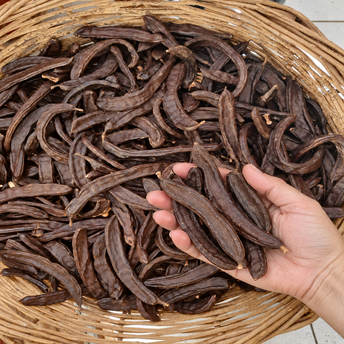 Keçi Boynuzu Harnup 1 kg