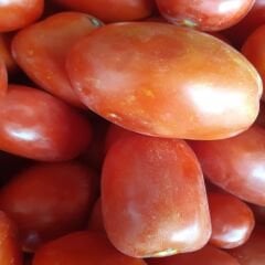 DOMATES 3 KG