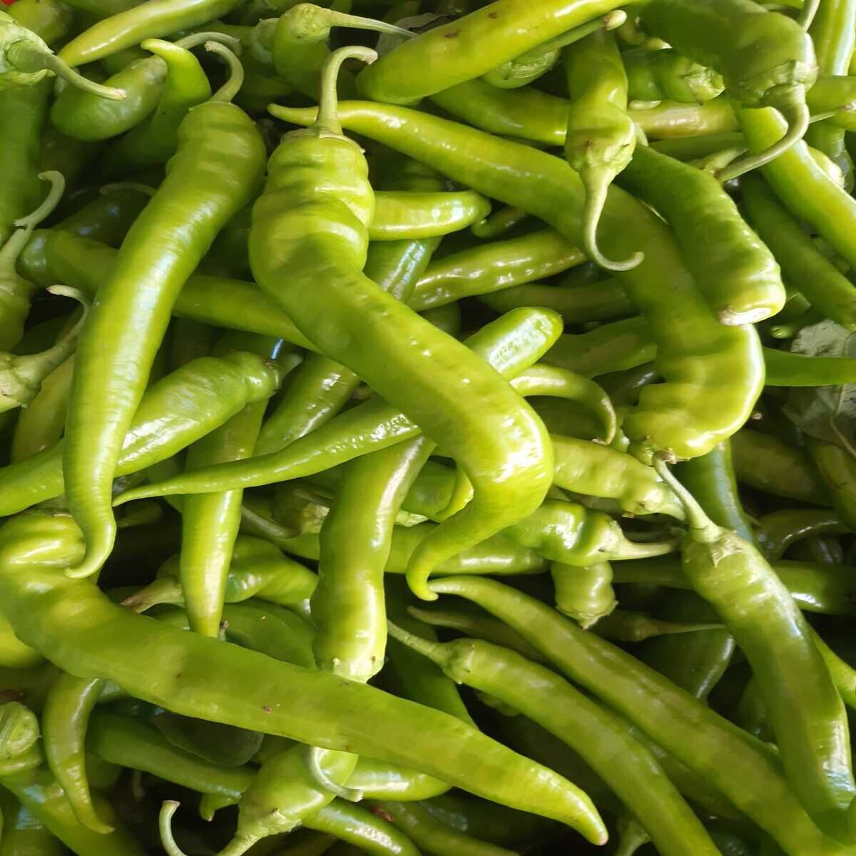 HAFİF ACI SOFRALIK BİBER 1 KG