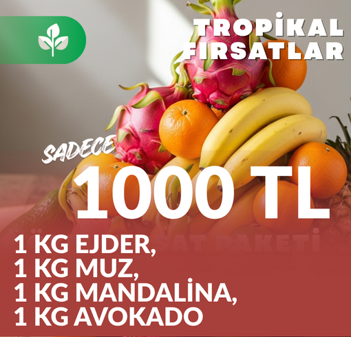 TROPİKAL FIRSATLAR (1 KG EJDER, 1 KG MUZ, 1 KG MANDALİNA, 1 KG AVOKADO)