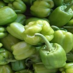 DOLMALIK BİBER 1 KG