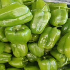 DOLMALIK BİBER 1 KG