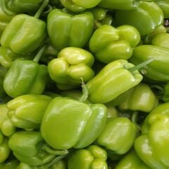 DOLMALIK BİBER 1 KG