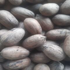 PİKAN CEVİZİ 500 GR