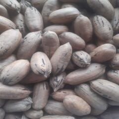 PİKAN CEVİZİ 1 KG