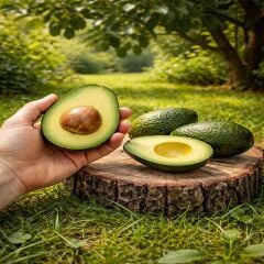 Hass Avokado 1 kg (100 gr Altı Mini Boy)