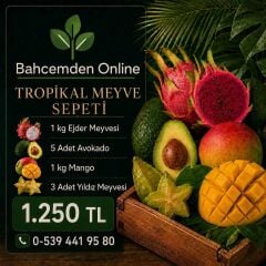 Tropikal Meyve Sepeti