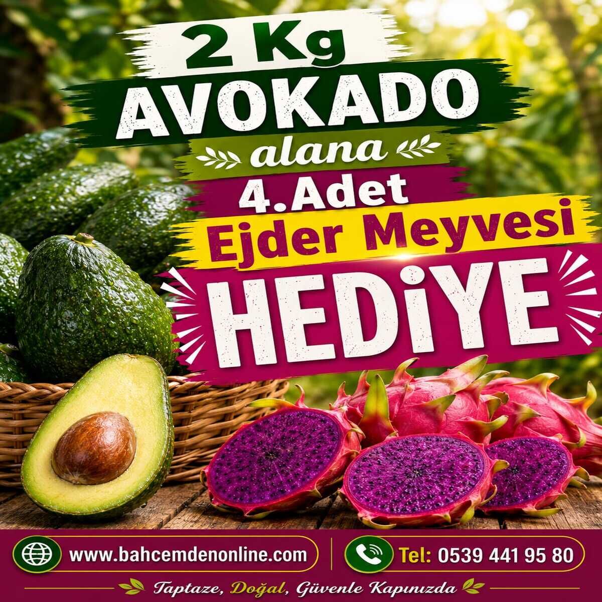 2 Kg Avokado Alana 4 Adet Ejder Meyvesi HEDİYE