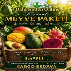 Tropikal Meyve Paketi