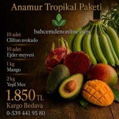 Anamur Tropikal Paketi