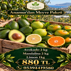 Anamur’dan Meyve Paketi
